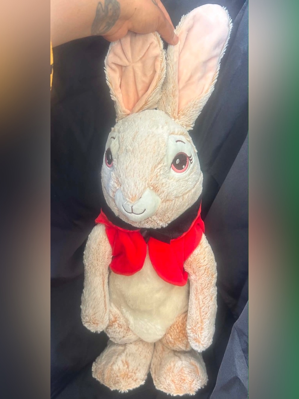 Petter rabbit Plush